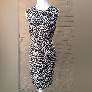 Chaus  Animal Print Sleeveless Dress 8